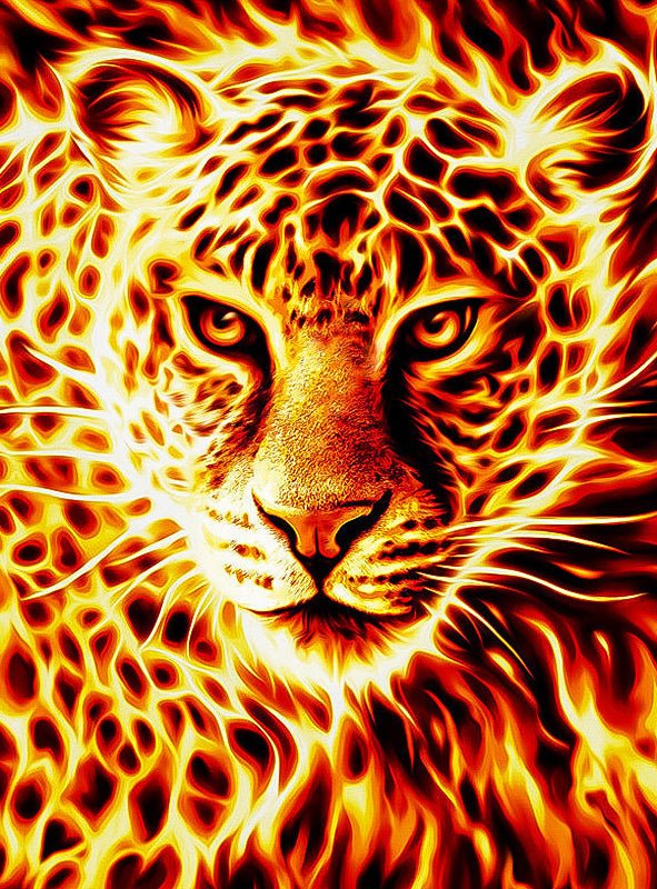 DIAMOND PAINTING | FIRE LEOPARD
