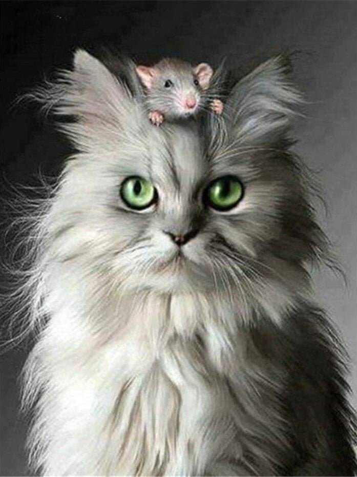 DIAMOND PAINTING | CAT AND MOUSE