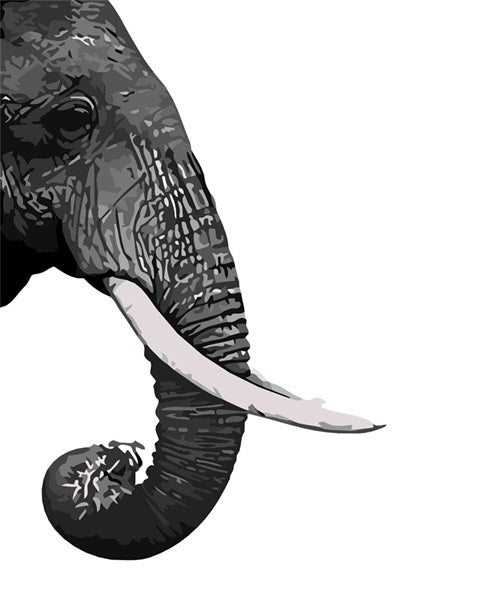 PAINT BY NUMBERS | ELEPHANT PROFILE
