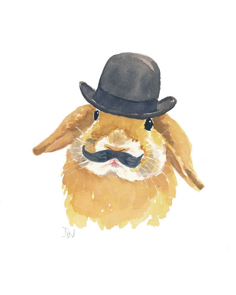 PAINT BY NUMBERS | RABBIT WITH HAT