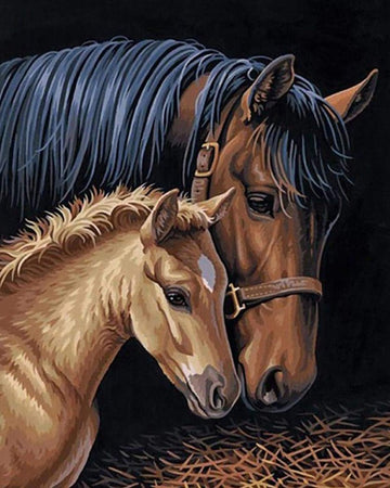 PAINT BY NUMBERS | HORSE MOTHER & FOAL