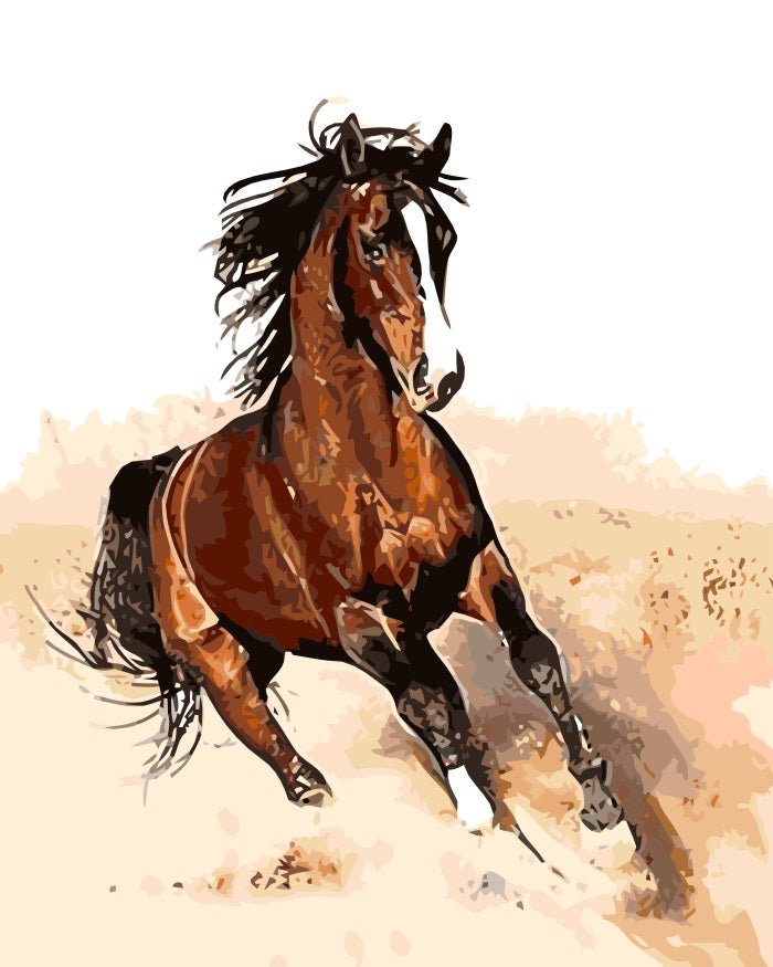 PAINT BY NUMBERS | HORSE IN THE SAND