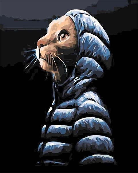 PAINT BY NUMBERS | CAT WITH WINTER JACKET