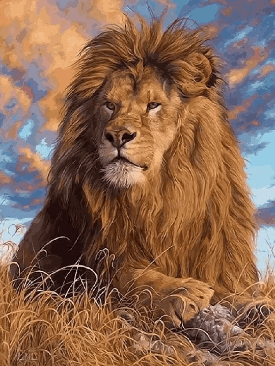 PAINT BY NUMBERS | MAJESTIC LION