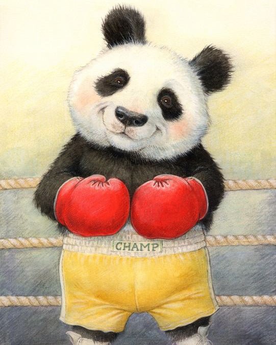 PAINT BY NUMBERS | PANDA BOXING CHAMP