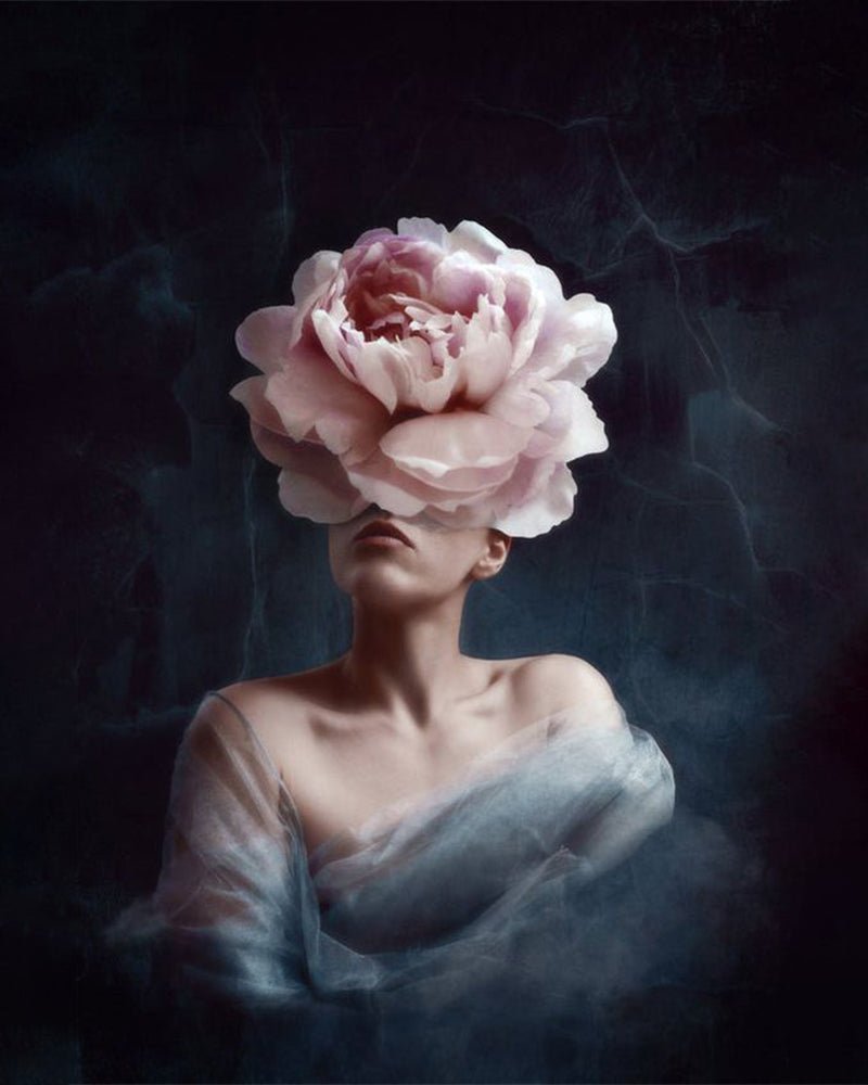 PAINT BY NUMBERS | FLOWERGIRL ROSE