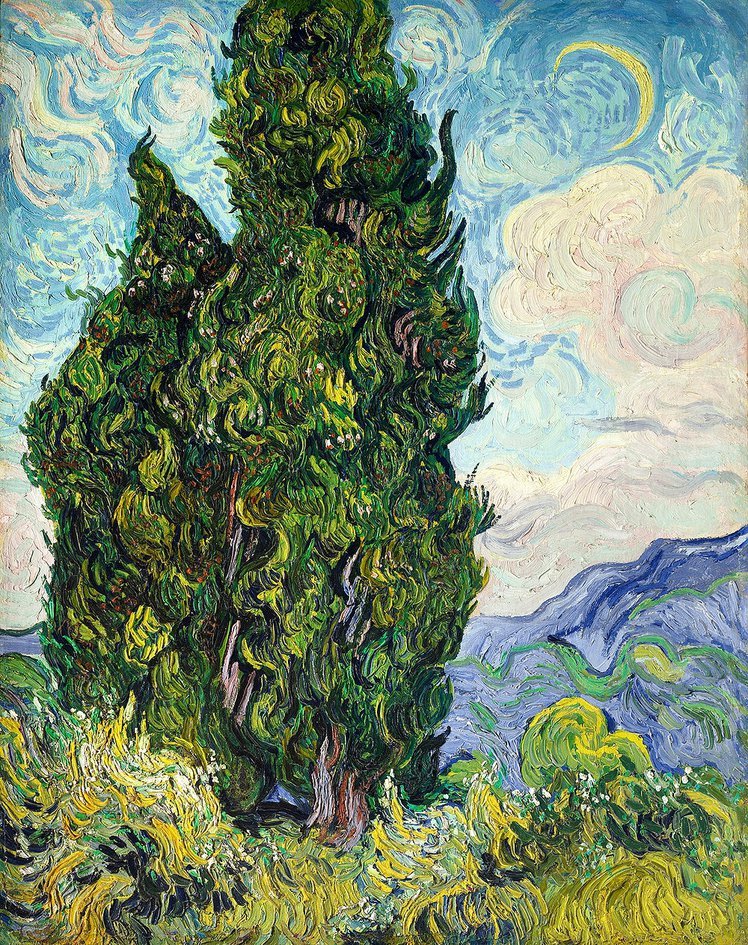 Paint by Numbers | Van Gogh Cypresses