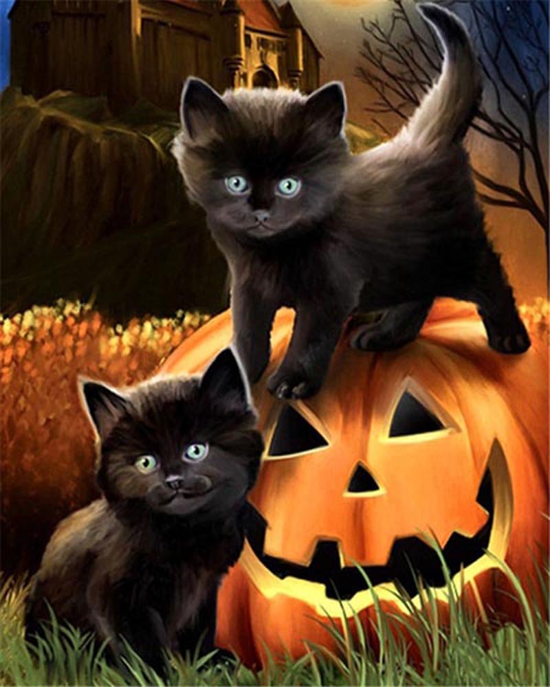 PAINT BY NUMBERS | CATS ON PUMPKIN