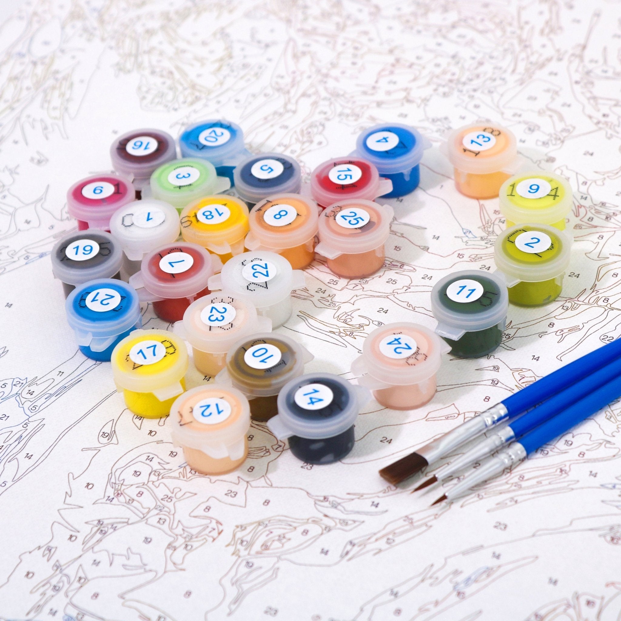 PAINT BY NUMBERS | FLOWERGIRL OWL