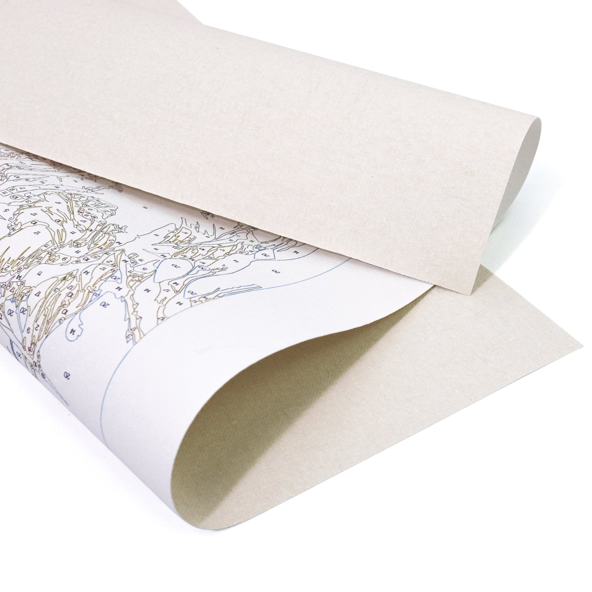 PAINT BY NUMBERS | LITTLE PRINCE UNDER TREES