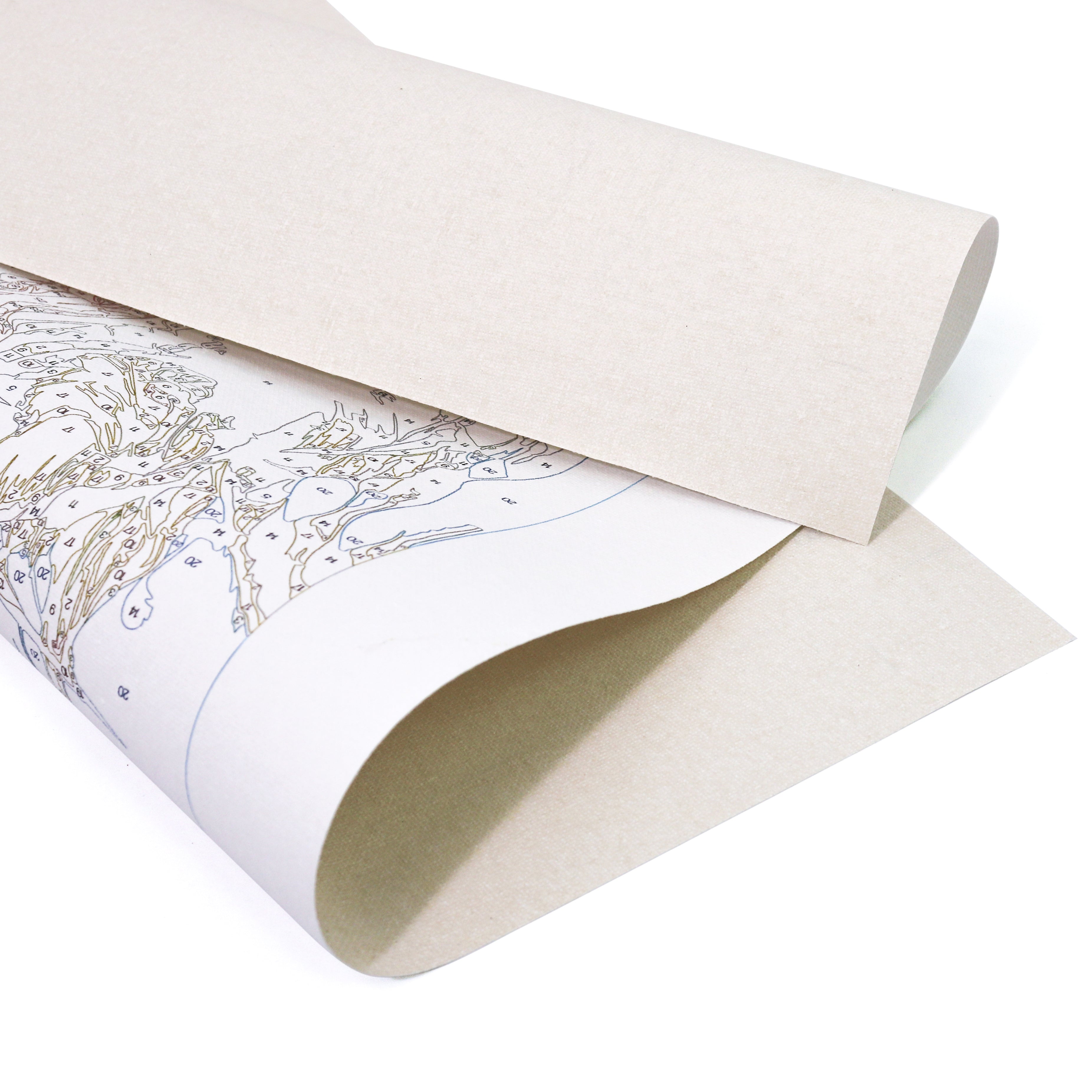 PAINT BY NUMBERS | PINK LION