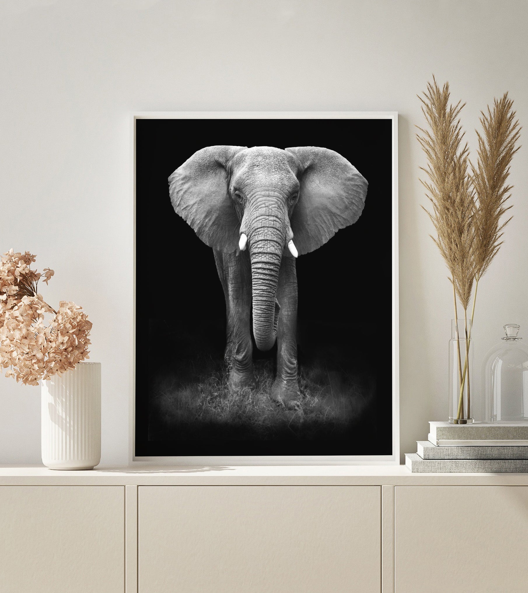 PAINT BY NUMBERS | BLACK & WHITE ELEPHANT